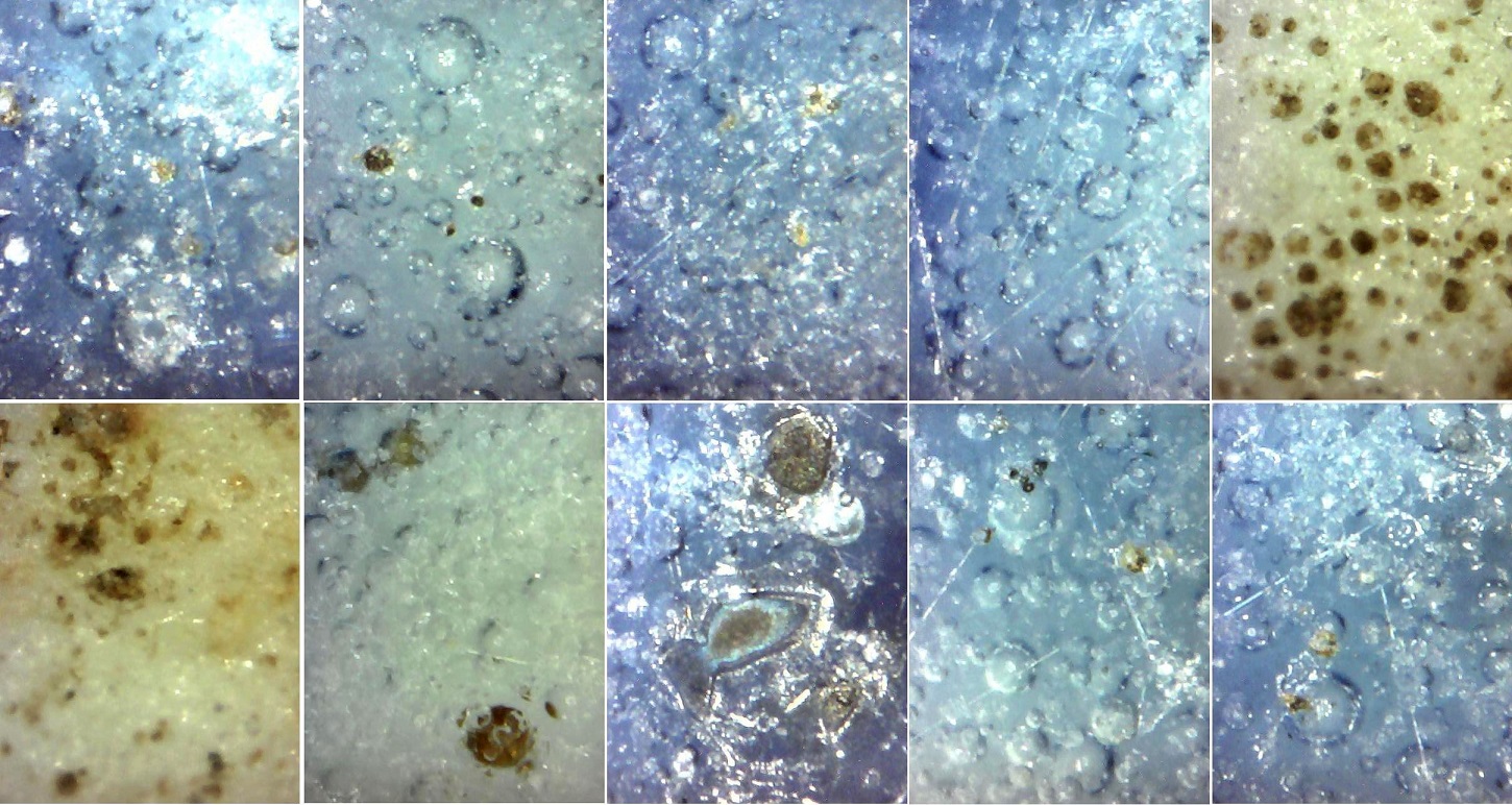 A pair Dragon Vase, Yuan Dynasty